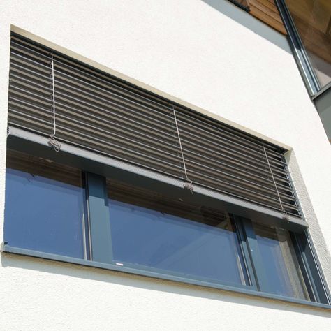 Fenster Holzbauteam