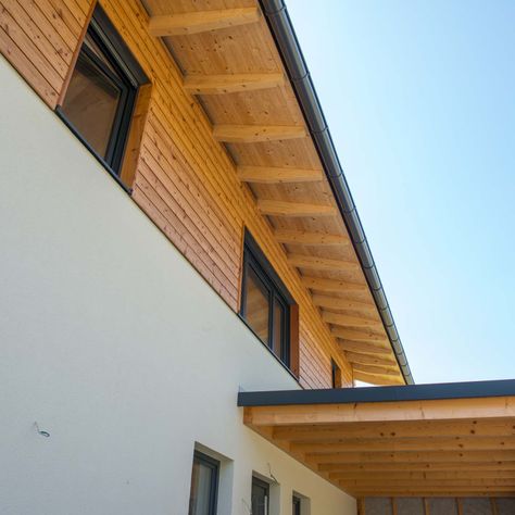 Fenster Holzbauteam