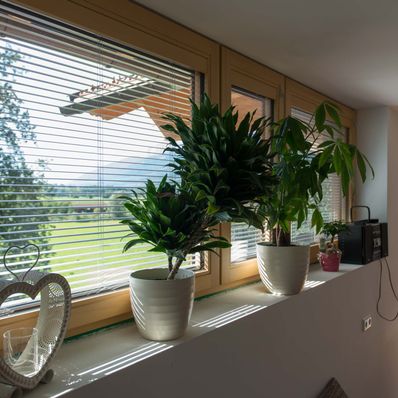 Fenster Tröplach